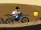Spel Crazy Bike Ride online