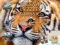 Spel Jigsaw Puzzles Classic online