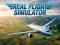 Spel Real Flight Simulator online