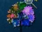 Spel Hidden Stars online