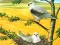 Spel Birds Of Prey Puzzle online