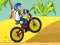 Spel BMX Boy Online online
