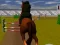 Spel Jumping Horse 3d online