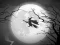 Spel The Night Of the Witches Jigsaw online