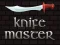 Spel Knife Master online