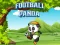 Spel Football Panda online