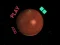 Spel Space Car online