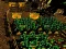 Spel Pixel Farm online