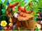 Spel Hidden Objects Insects online