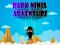 Spel Dark Ninja Adventure online