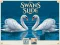 Spel Swans Slide online