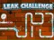 Spel Leak Challenge online