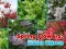 Spel Spring Flowers: Hidden Objects online