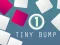 Spel Tiny Bump online