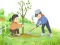 Spel Arbor Day Puzzle online