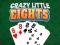 Spel Crazy Little Eights online