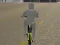 Spel Bicycle Simulator online