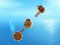 Spel Crazy Machines online