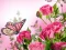 Spel Butterflies Puzzle online