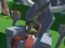 Spel Lazy Orcs: Arena online