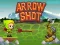 Spel Arrow Shoot online