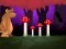 Spel Rescue The Charming Pup online