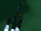 Spel Spacecraft II online