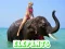 Spel Elephants Puzzle online