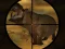 Spel Classical Hippo Hunting online