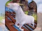 Spel Angry Goat Rampage Craze Simulator online