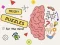 Spel Brain Puzzles Quests online