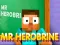 Spel Mr Herobrine online