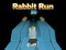 Spel Rabbit Run 3D online