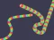 Spel Slither Classic online