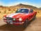 Spel Sung Race online