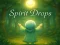 Spel Spirit Drops online