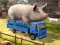 Spel Driver Master Simulator online