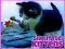 Spel Six Little Kittens online