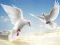 Spel Flying Birds online