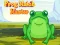 Spel Frog Match Master online