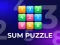 Spel Sum Puzzle: Arithmetic online