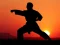 Spel Karate Sunset Warriors online