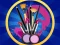 Spel Princess Cosmetic Kit Factory online