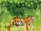 Spel Angry Tiger Coloring online