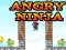 Spel Angry Ninja online