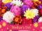 Spel 2019 Mother's Day Puzzle online