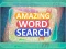 Spel Amazing Word Search online