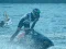 Spel Power Boat Racing 3D online