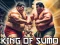 Spel King Of Sumo the ultimate brawl online