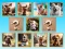 Spel Doggie Duo Discoveries online